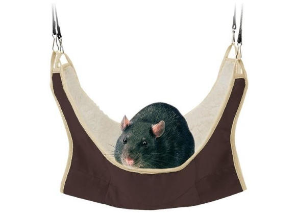 Trixie hamak dla szczura