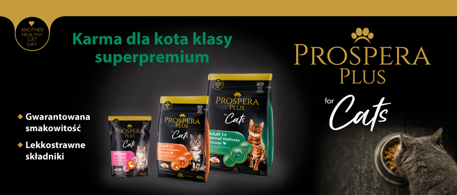 prospera dla kota baner glowny