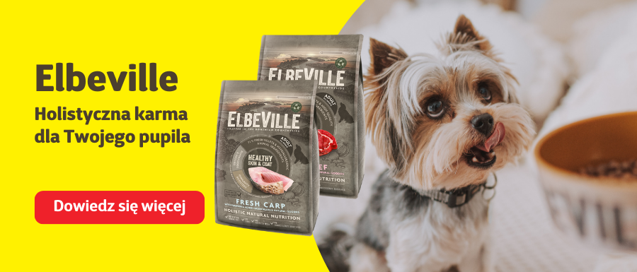 elbeville baner glowny