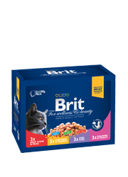 BRIT PREMIUM CAT FAMILY ZESTAW SASZETEK DLA KOTA