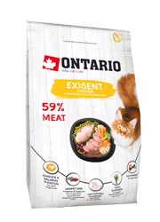 ONTARIO CAT EXIGENT KARMA DLA KOTA