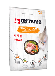 ONTARIO CAT SHORT HAIR KARMA DLA KOTA