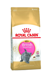 ROYAL CANIN FELINE BREED BRITISH SHORTHAIR KITTEN