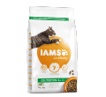 IAMS FOR VITALITY KARMA DLA KOTA z jagnięciną