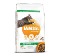 IAMS FOR VITALITY KARMA DLA KOTA z jagnięciną