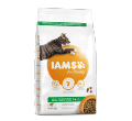 IAMS FOR VITALITY KARMA DLA KOTA z łososiem