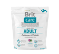 BRIT CARE GRAIN FREE ADULT SALMON & POTATO