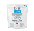 BRIT CARE GRAIN FREE JUNIOR LARGE SALMON & POTATO dostępne do wyczerpania zapasów