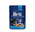 BRIT PREMIUM CAT KARMA DLA KOCIĄT - z kurczakiem