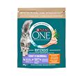 PURINA ONE COAT/HAIRBALL DLA KOTA z kurczakiem