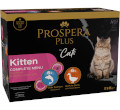 PROSPERA PLUS KITTEN MOKRA KARMA DLA KOCIĄT mix 2 smaków
