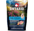 ONTARIO PUPPY and JUNIOR MONOPROTEIN TURKEY and SWEET POTATOES