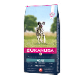 EUKANUBA ADULT LARGE SALMON / BARLEY KARMA DLA DOROSŁYCH PSÓW