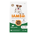 IAMS FOR VITALITY ADULT SMALL / MEDIUM KARMA DLA PSA z jagnięciną