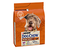 DOG CHOW MATURE ADULT 5+ Z JAGNIECINĄ