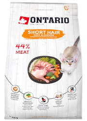 ONTARIO CAT SHORT HAIR KARMA DLA KOTA