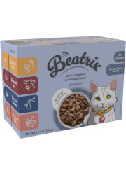BEATRIX ADULT CAT BOX KARMA DLA KOTA mix smaków